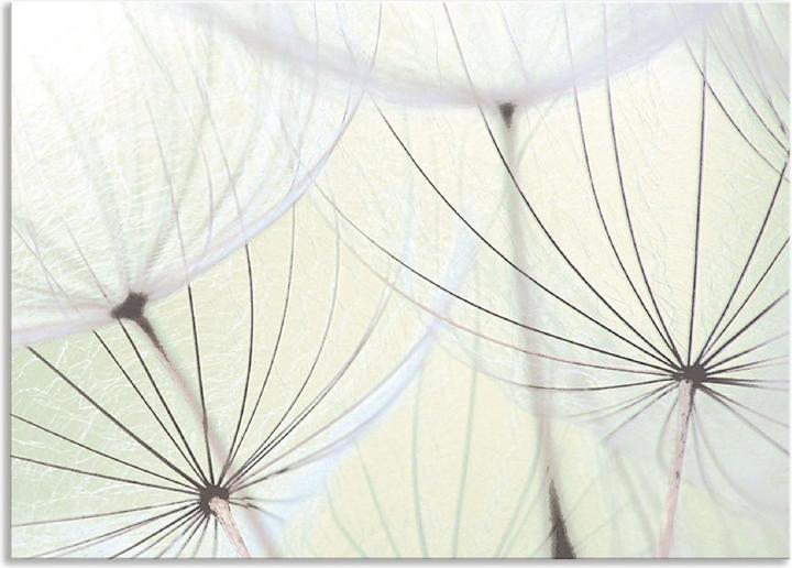 Actual product image Artland Brightened aluminium kitchen splashback dandelion seeds