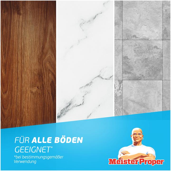 Actual product image Meister Proper Allzweckreiniger