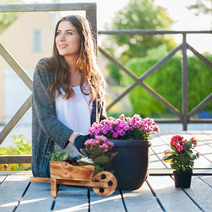 Actual product image Relaxdays Plant wheelbarrow (47 cm)