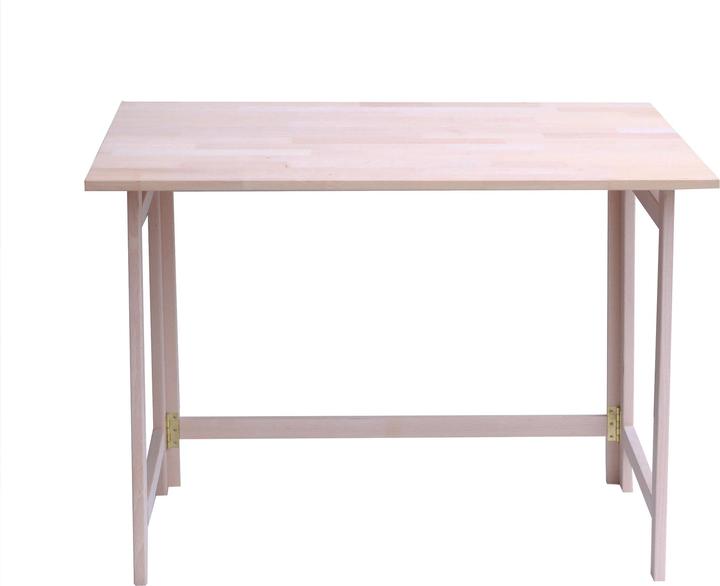 Produktbild Europe & Nature Klapptisch (100 x 60 x 75 cm)