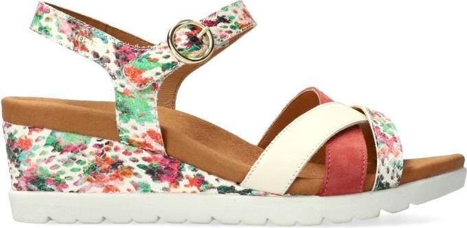 Multicoloured