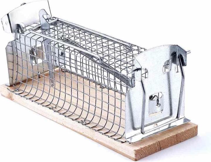 Image du produit Swissinno Souris Living Trap Classic 1 St