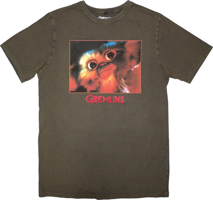 Gremlins Gizmo Photo Wash