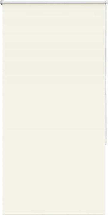 Cream white