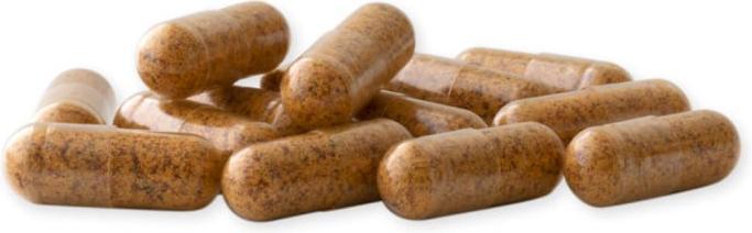 Actual product image Raab Rosehip with vitamin C organic (150 Piece, Capsules, 150 g)