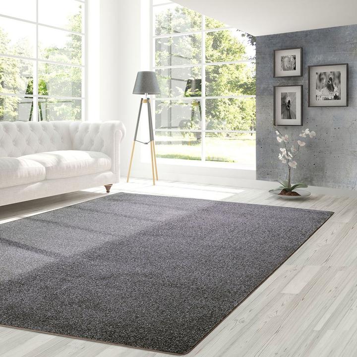 Image du produit Karat Lyon (66 x 400 cm)
