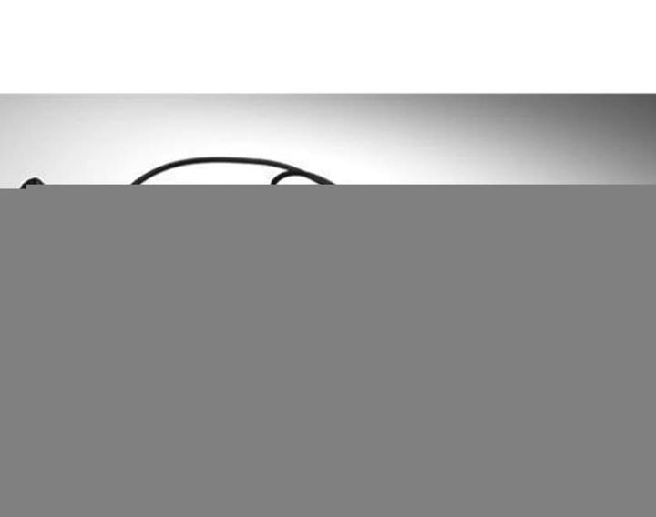 Productafbeelding Ctek CT5 S&S Loodzuur Lader 12V/5A (12V, 3.80 A)