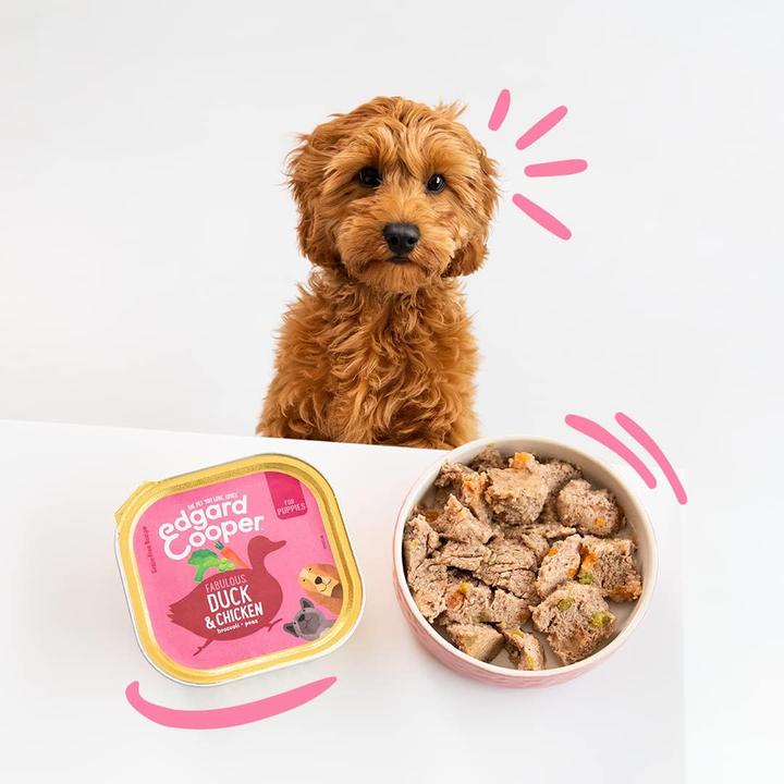 Immagine prodotto Edgard & Cooper Cibo umido per cani (Junior, 18 pz., 5400 g)