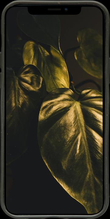 Actual product image dbramante1928 Grenen (Apple iPhone 12 Pro Max)