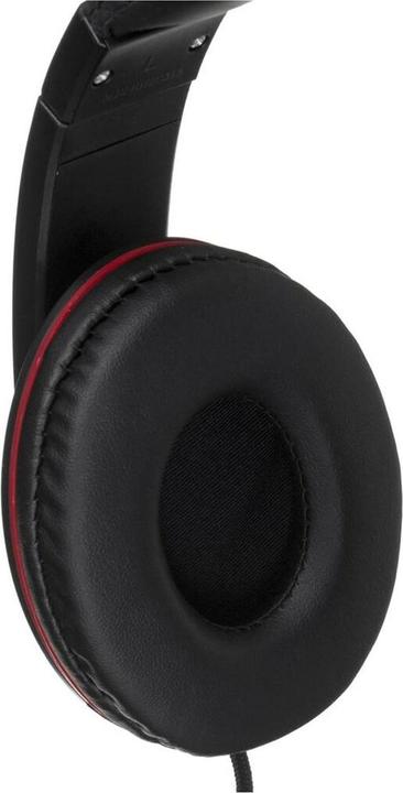 Actual product image ESP EH121 (No noise cancelling, Cable)