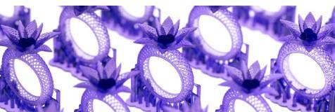 Produktbild XYZprinting UV Resin Nobel Superfine (2 x 500ml) (Violett)