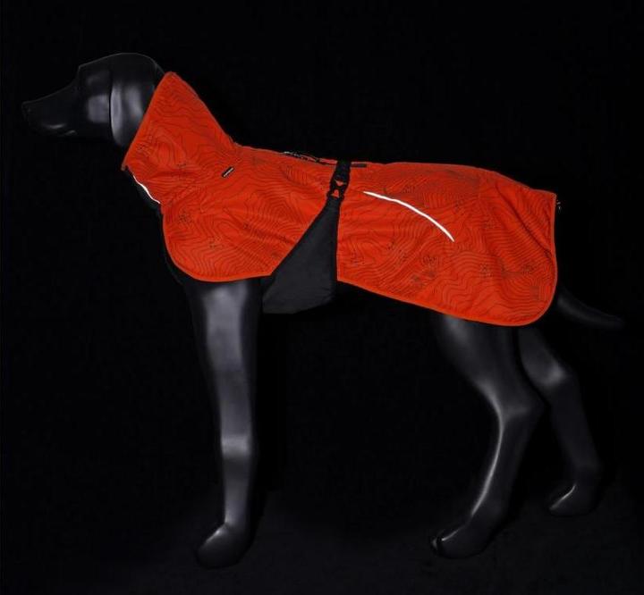 Image du produit Icepeak Manteau d'hiver Delle Orange, M (M, Manteau pour chien)