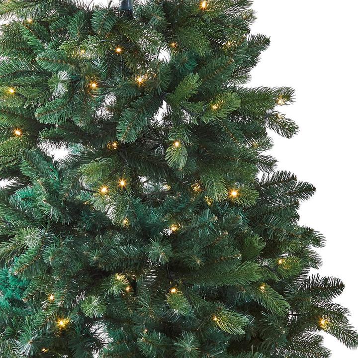 Produktbild Loberon Weihnachtsbaum Helford (240 cm)
