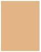 Actual product image Artdeco Rich Treatment (Rose)