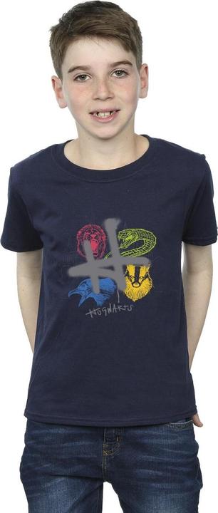 Actual product image Boys Emblems H Spray T-Shirt (116)