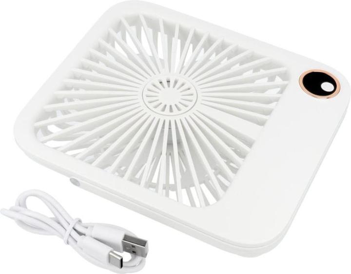 Actual product image OEM Other small household appliances Desk fan with adjustable stand W30 white