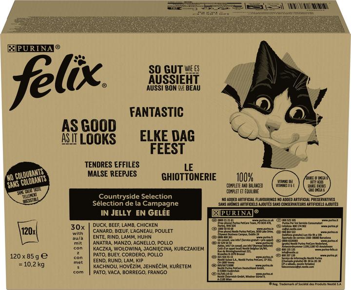 Image du produit Felix Aussi bon qu'il y paraît (Adulte, 120 pcs, 10200 g)