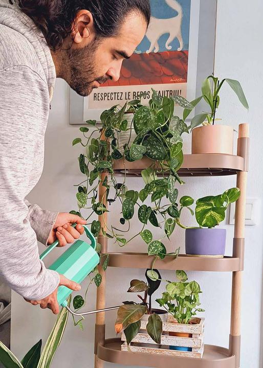Actual product image CitySens Plant shelves