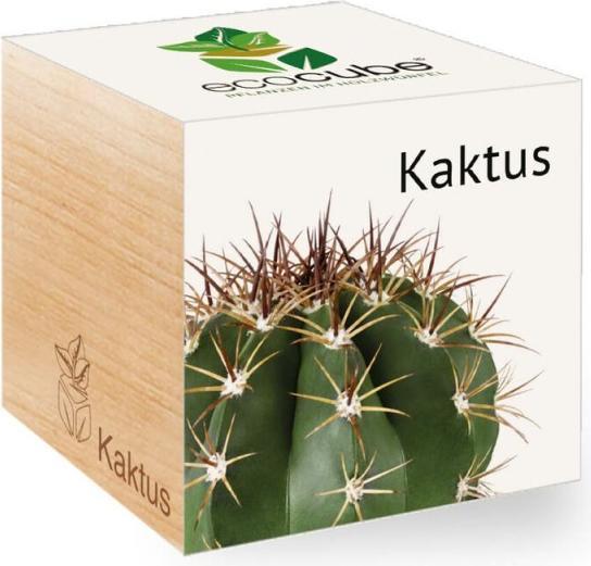 Image du produit Feel Green Ecocube (Graines de plantes)