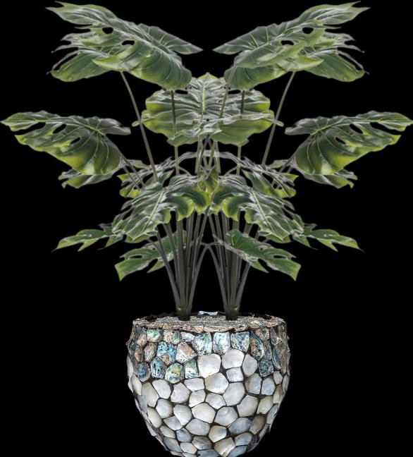 Productafbeelding Emerald Monstera-Pflanze (98 cm)