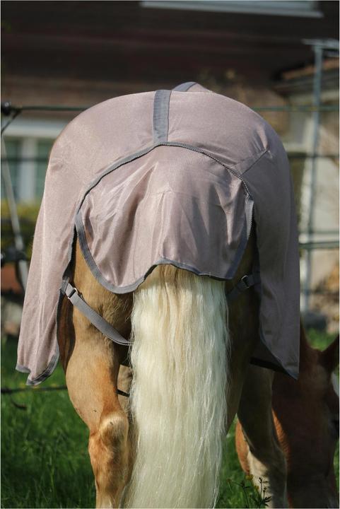 Image du produit Stallone Couverture anti-mouches Walker Rug (135 cm)