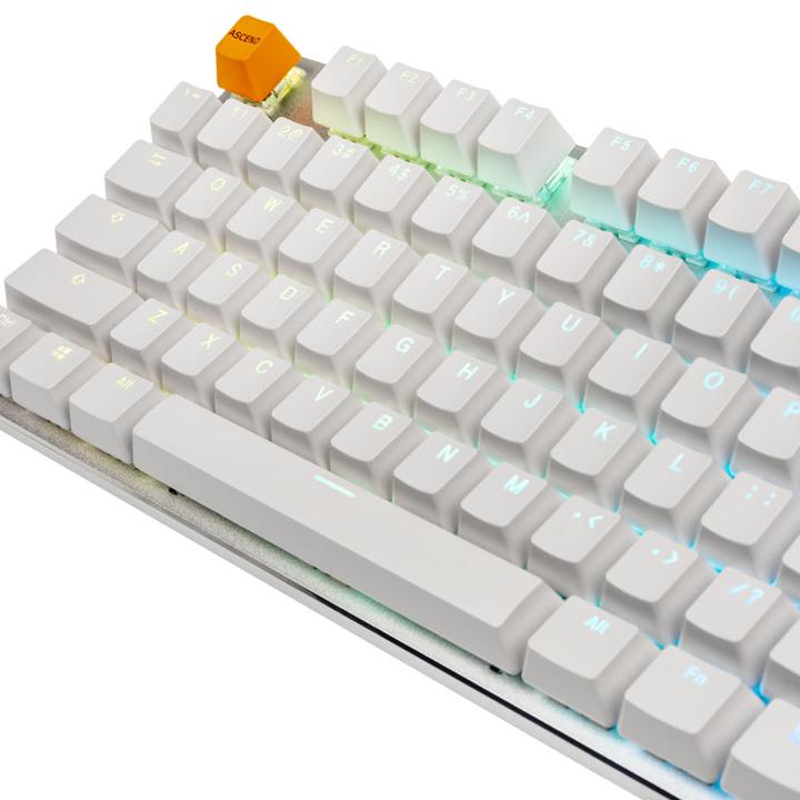 Produktbild Glorious PC Gaming Race PC Gaming Race GMMK Full Size White Ice Edition - Gateron-Brown, USA-Layout (US, Kabelgebunden)