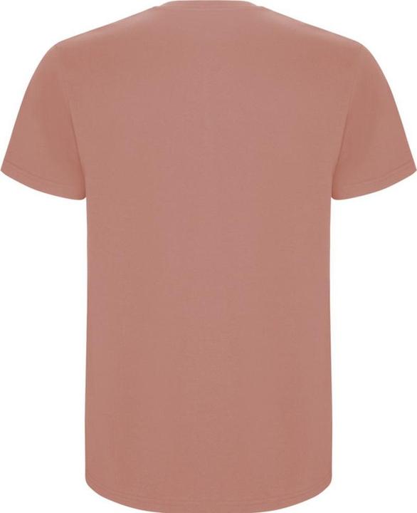 Actual product image Alpinia Mens Stafford T-Shirt (S)