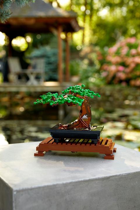 Image du produit LEGO Bonsaï (10281, LEGO Botanical, LEGO Icons)