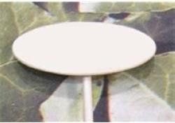 Gewürzstecker Blanko 20 cm (20 cm)