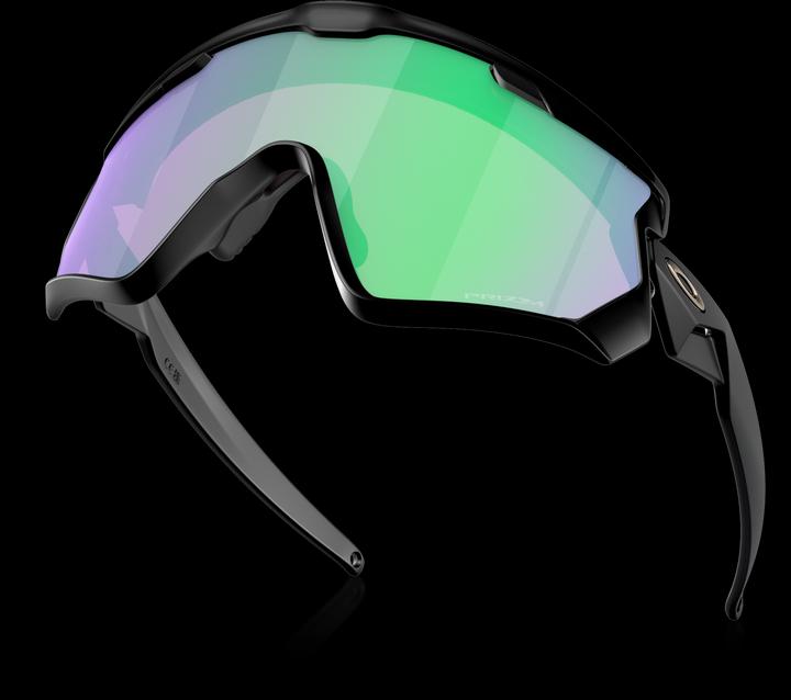 Actual product image Oakley Wind Jacket 2.0 (Mat Black, Prizm road jade)