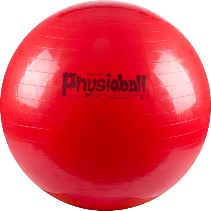 Actual product image Ledragomma Original pezzi ball (95 cm)