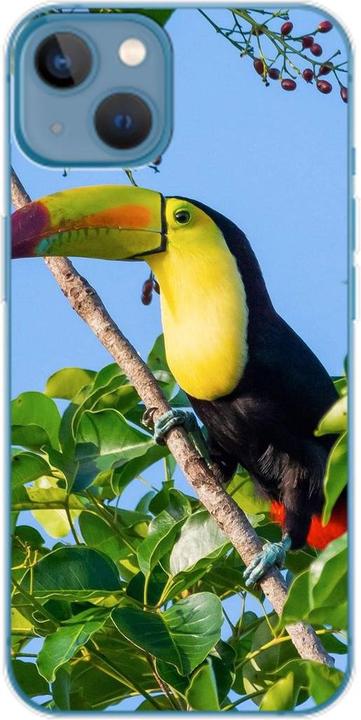 Tucan