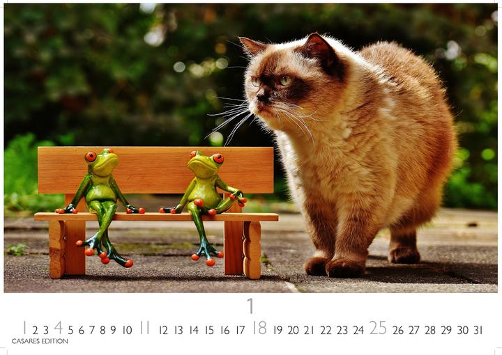 Produktbild Funny Cats 2026 S 24x35cm (24 x 35 cm, Deutsch)