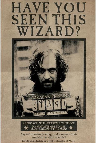 Pyramid HARRY POTTER - Poster 61x91 - Wanted Serius Black