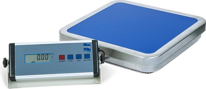 Pesola Bilancia a piattaforma multiuso, 60 kg, con interfaccia RS-232