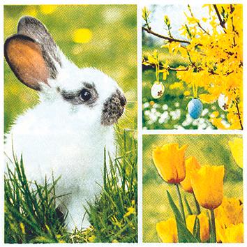 Magni 20 kleine Cocktail-Servietten Collage für den Frühling Hase Blumen Tischdeko Decoupage Serviettentec (20 x, 25 x 25 cm)