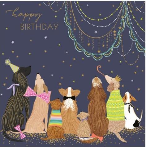 Image du produit The art file Carte Anniversaire Chiens - Happy Birthday de Sara Miller