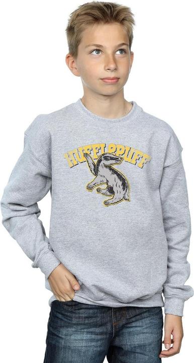 Image du produit - Sweat HUFFLEPUFF SPORT EMBLEM - Garçon (140, 146)