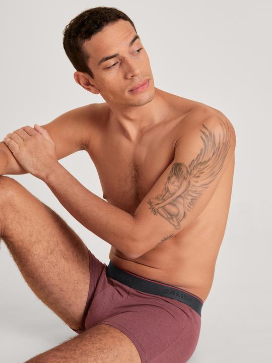 Image du produit Calida Cotton Stretch BoxerBrief (S)