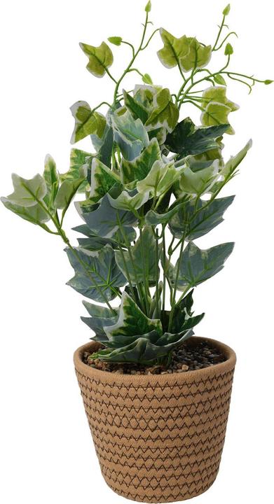 Image du produit Casativo Plante artificielle Lierre dans pot en corde de coton (38 cm)