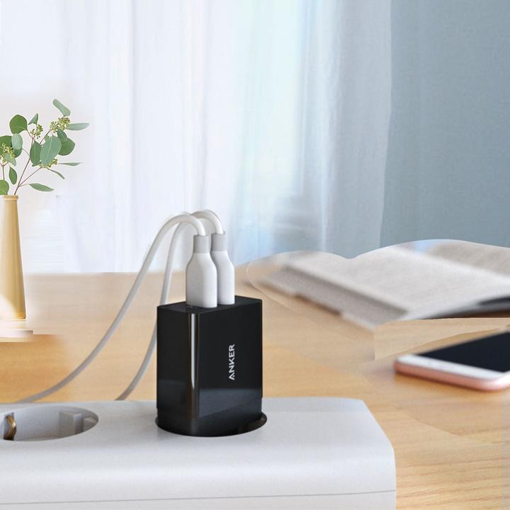 Actual product image Anker 2-Port USB Charger (24 W)