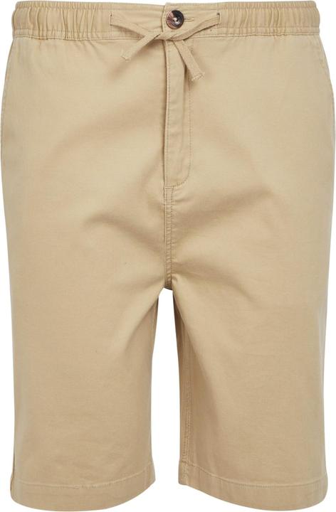 Actual product image Regatta Mens Aldan Chino Shorts (40)