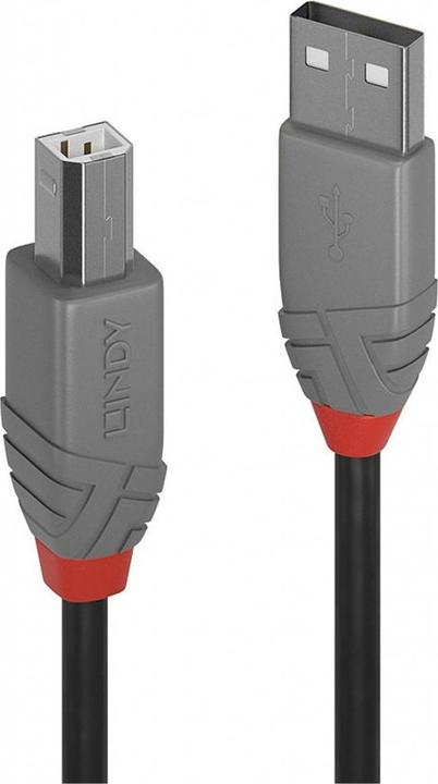 Produktbild Lindy USB A—Usb B (7.50 m, USB 2.0)