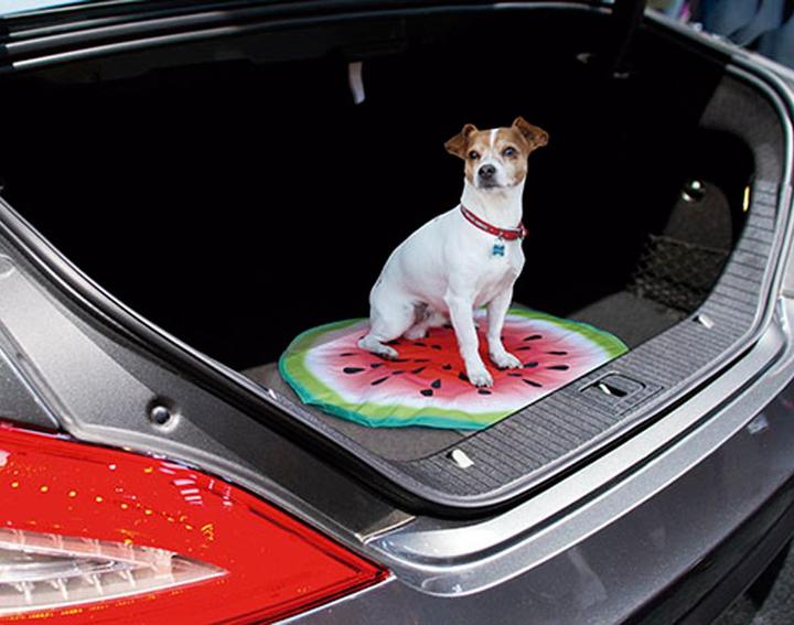 Produktbild Starlyf Pet Cooling Mat (Hund)