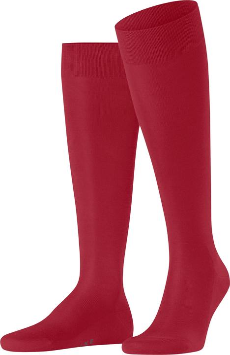 Falke Tiago Herren