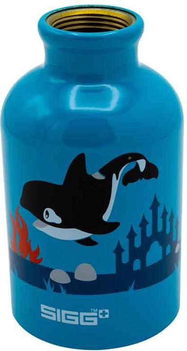 Actual product image Sigg Kbt (0.30 l)