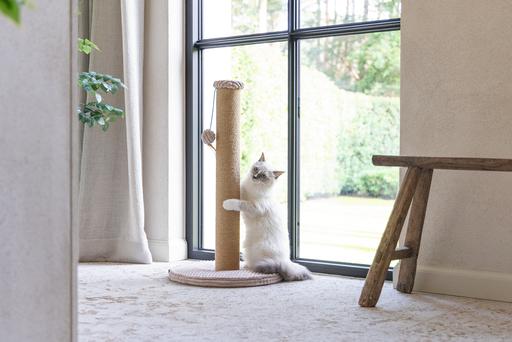 Actual product image Designed by Lotte Scratching post (70 cm, Rose)