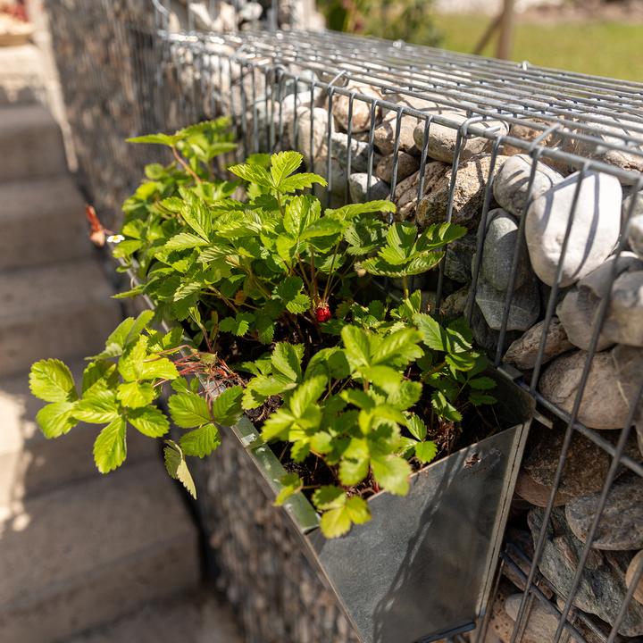 Actual product image Bellissa Origami planter boxM