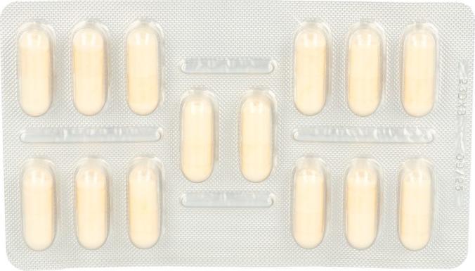 Produktbild Lactibiane Reise 20M (14 Stück, Kapseln, 22 g)