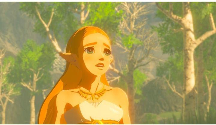 Immagine prodotto Nintendo La leggenda di Zelda: Breath Of The Wild (Switch, Multilingue)